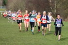 Womens 35s and over and mens 65 and over, 2018 North Eastern Masters, Darlington. Photo: David T. Hewitson/Sports for All Pics